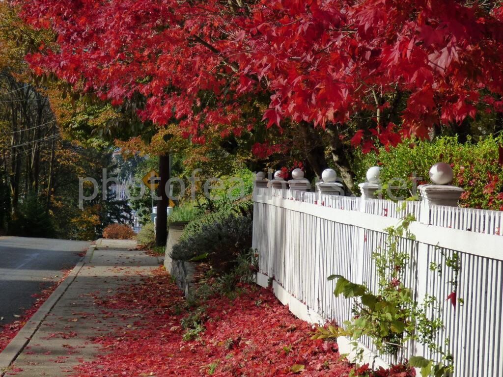 Along San Francisco Street I
