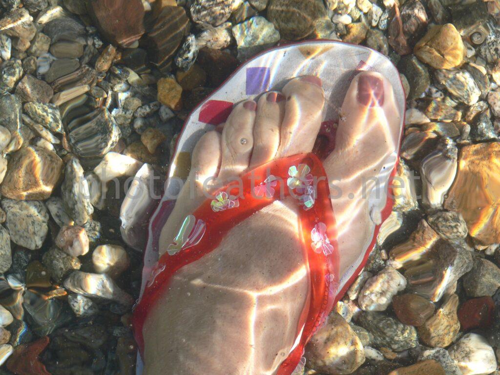 Flip Flop