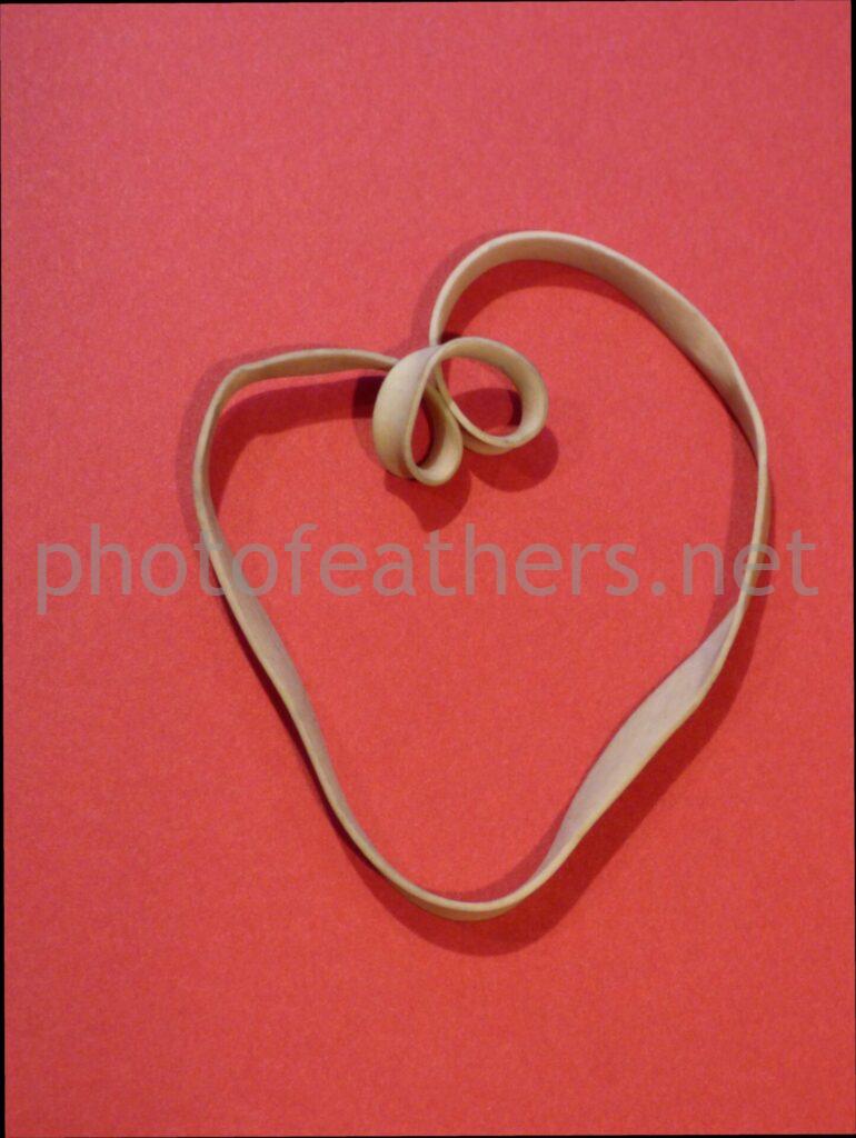 Hearts Archives Photofeathers Photofeathers